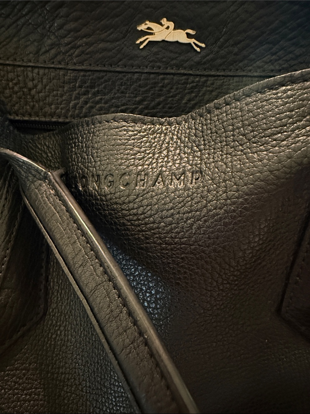 Longchamp Penelope Leather Bag - Picture 3 of 5